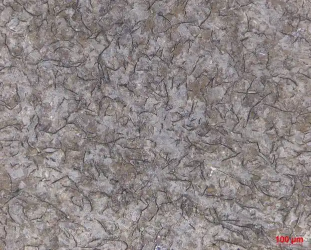 灰铸铁金相检验 GB/T 7216-2009