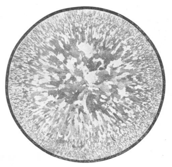1751956791565725.png image.png